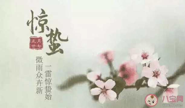 惊蛰节气|2020惊蛰节气的创意文案句子说说 惊蛰节气发的朋友圈文案说说