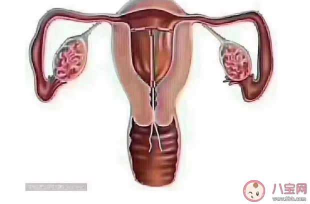 女性月经可以推迟吗 怎么判断自己是不是绝经了