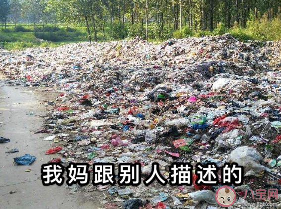 闭关在家要认清的一个事实是什么 闭关在家会认清什么事实