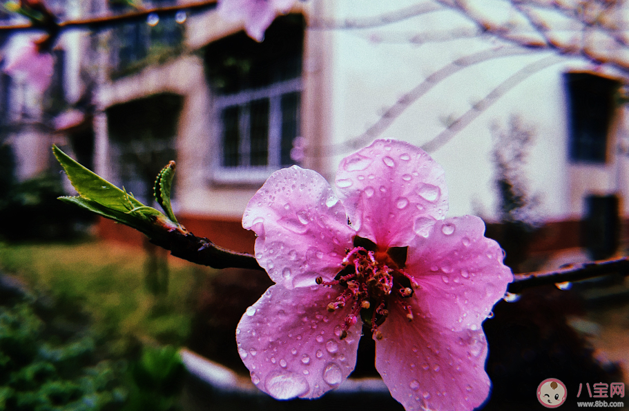 嘀嗒嘀嗒下雨了说说 下雨了说说心情短语