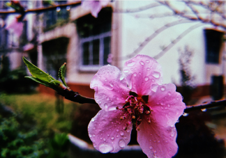 嘀嗒嘀嗒下雨了说说 下雨了说说心情短语