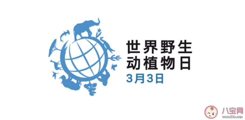 2020世界野生动植物日主题是什么世界野生动植物日海报主题