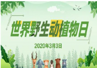 2020世界野生动植物宣传标语大全 世界野生动植物宣传标语有哪些