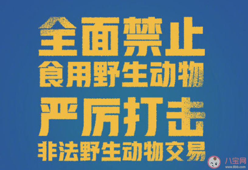 湖北|湖北全面禁止食用野生动物是真的吗 湖北全面禁止食用哪些野生动物