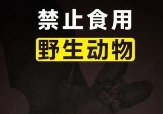 湖北全面禁止食用野生动物是真的吗 湖北全面禁止食用哪些野生动物