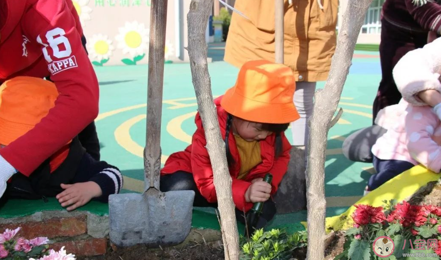 2020幼儿园植树节主题活动报道稿三篇 2020幼儿园植树节种树的活动报道美篇