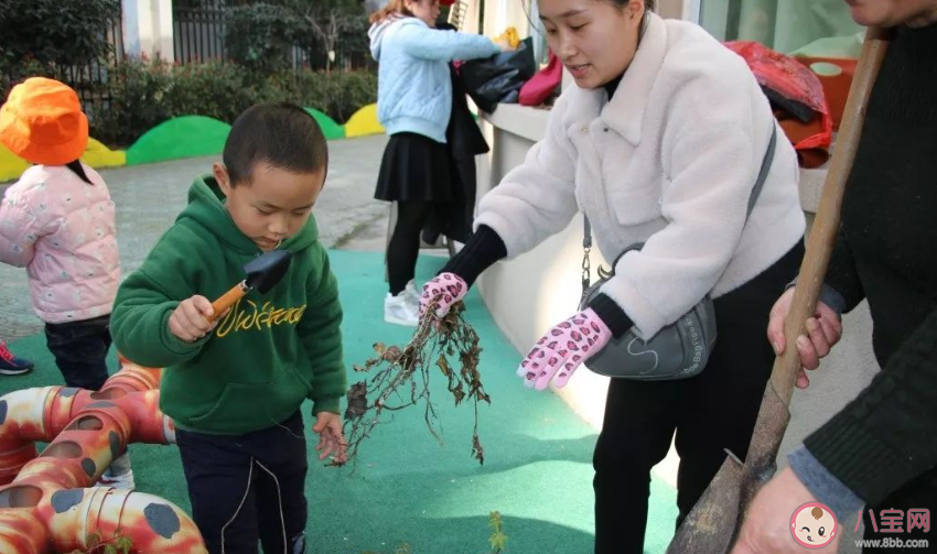 2020幼儿园植树节主题活动报道稿三篇 2020幼儿园植树节种树的活动报道美篇