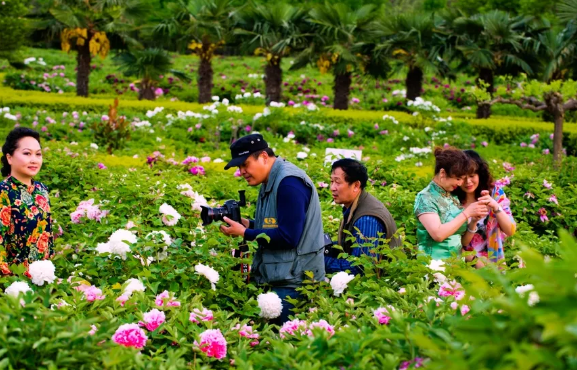 四月|四月最适合的旅游地盘点 4月去哪里旅游好