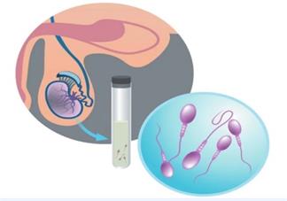 新冠病毒影响生育能力是真的吗 新冠病毒对男性生育能力影响有多大