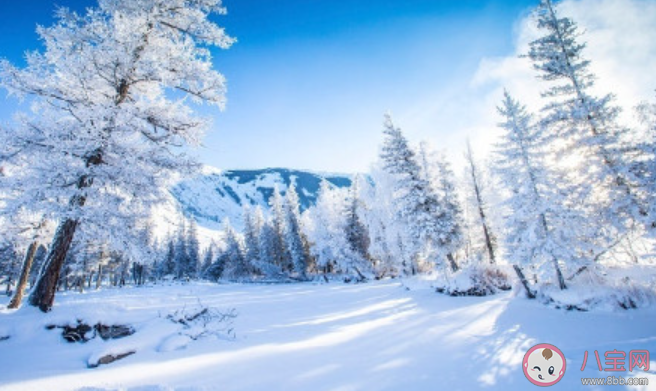 怎样不提雪字|怎样不提雪字描述雪很大如何不带雪字来表示雪下的很大