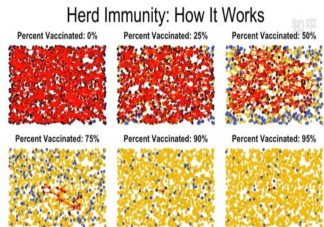 什么是群体免疫 如何看待群体免疫的做法