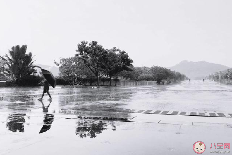 春分无雨是空年|春分无雨是空年是什么意思 春分下雨好不好