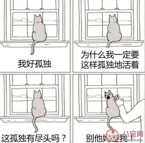 孤独|表面孤独症是什么意思 表面孤独症是什么样的