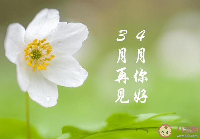 3月最后一天|3月最后一天心情感悟说说 3月最后一天的朋友圈说说图片