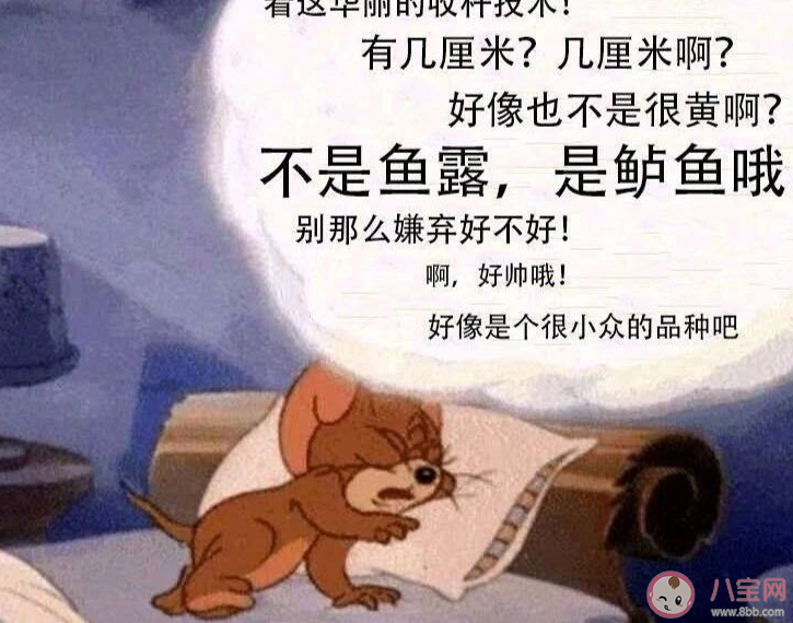 鱼露|不是鱼露是鲈鱼哦是什么梗不是鱼露是鲈鱼哦梗的出处是什么