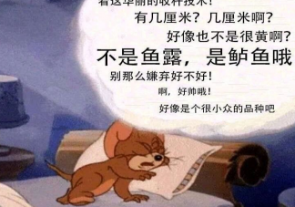 不是鱼露是鲈鱼哦是什么梗  不是鱼露是鲈鱼哦梗的出处是什么