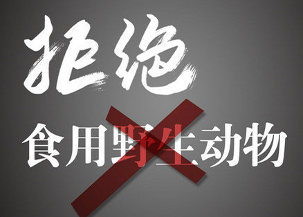 敬畏自然|拒绝野味倡议书800字作文 敬畏自然拒绝野味倡议书大全