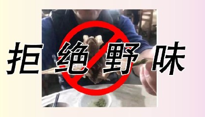 敬畏自然|敬畏自然拒绝野味400字作文 小学生拒绝野味倡议书