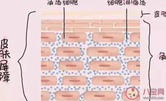 灌肤是什么意思 灌肤有什么作用和效果