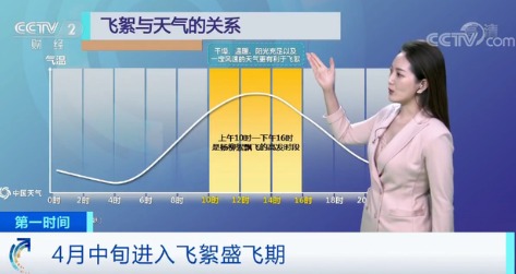 疫情期间防飞絮指南 过敏人群怎么防护