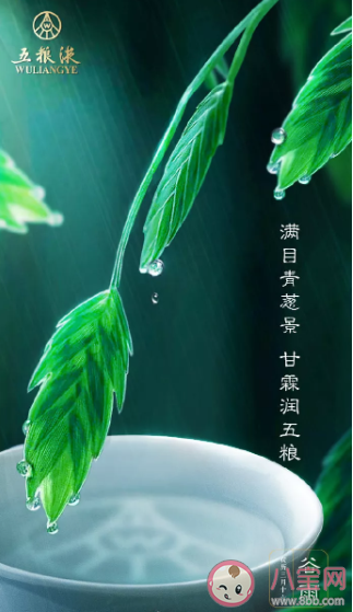 谷雨节气|2020谷雨节气海报借势文案合集 谷雨节气创意文案