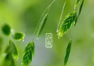 2020今日谷雨快乐的心情说说 谷雨节气发朋友圈心情句子