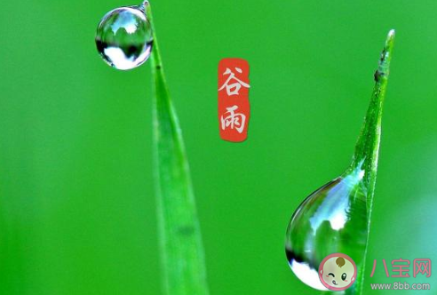 2020谷雨节气|2020谷雨节气发朋友圈配图 谷雨节气朋友圈图片说说文案