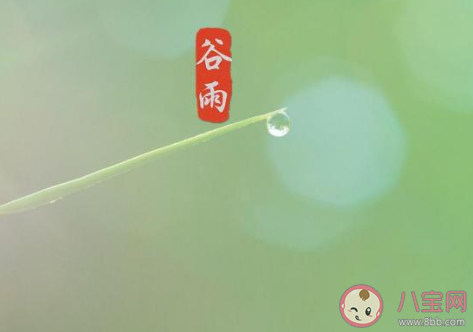 2020谷雨节气|2020谷雨节气发朋友圈配图 谷雨节气朋友圈图片说说文案