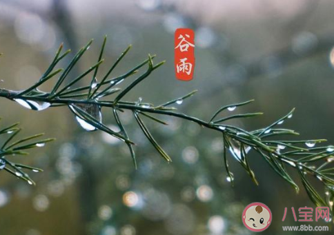 2020谷雨节气|2020谷雨节气发朋友圈配图 谷雨节气朋友圈图片说说文案