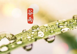 适合谷雨节气的朋友圈创意文案说说2020 谷雨节气发朋友圈个性说说大全2020