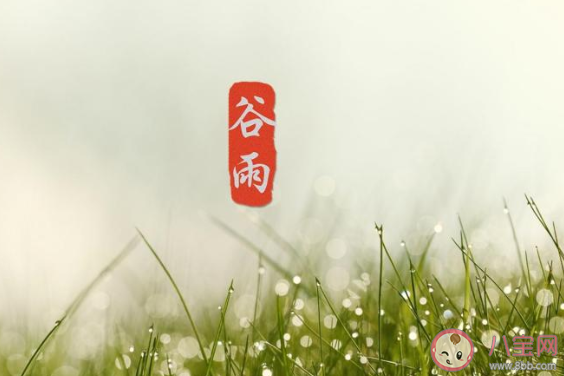 关于谷雨节气|关于谷雨节气的诗词有哪些2020 谷雨节气有意境的诗词大全赏析