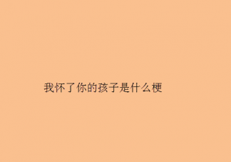 我怀了你的孩子是什么意思 我怀了你的孩子是什么梗介