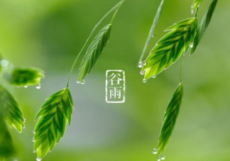 今日谷雨简短一句话说说 今日谷雨简短说说大全