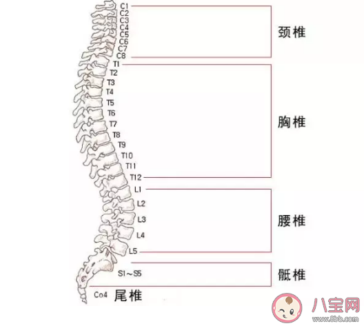 颈椎病怎么治最好  颈椎病早期的10大症状