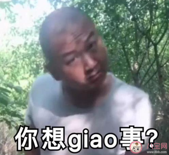 一giao我里giaogiao为什么火了 一giao我里giaogiao下一句是什么