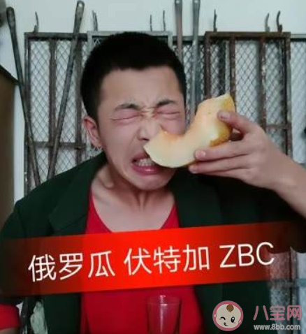 小鸟伏特加zbc这么高是什么梗 小鸟伏特加zbc为什么火了