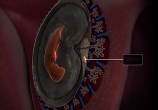 大部分胎停育发生在多少周 发生胎停育怎么办