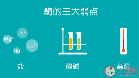 菠萝用热水泡还是冷水 菠萝用热水泡要加盐吗