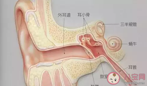 鼓膜穿孔能自愈吗  鼓膜穿孔有什么症状