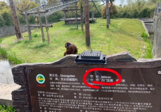 上海zoo是什么意思什么梗  上海zoo男团有哪些人