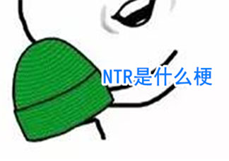 NTR是什么意思什么梗 NTR梗的出处是什么