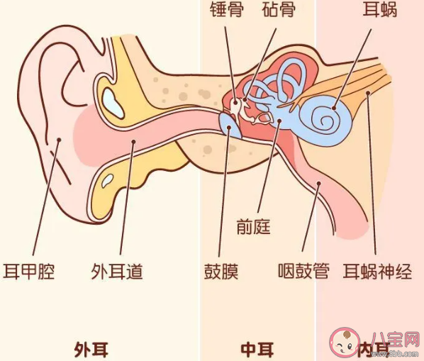 孩子洗澡耳朵进水了怎么办 洗澡时呛水了怎么办