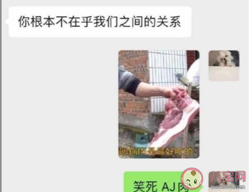 笑死企鹅肉什么梗 笑死企鹅肉为什么火了