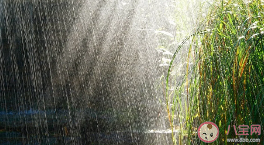 窗外下雨|窗外下雨睡不着的说说 半夜下雨睡不着的朋友圈说说