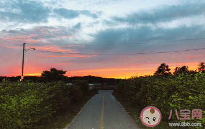 今日夏至的朋友圈文案 夏至到来的说说句子