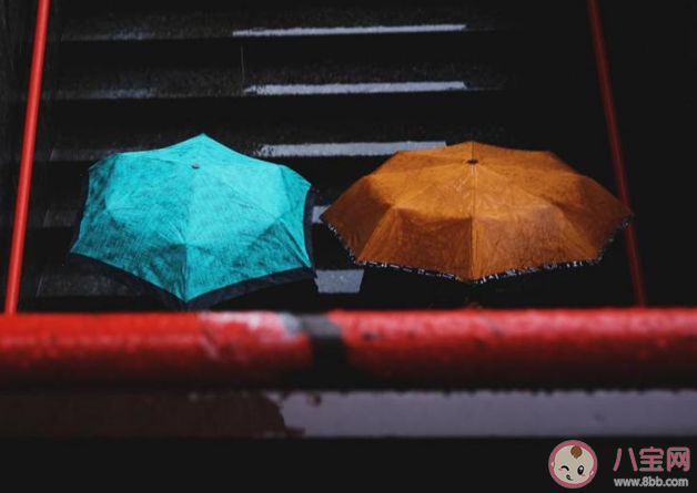 梅雨季节天天下雨的朋友圈说说 梅雨季节雨一直下的感慨说说