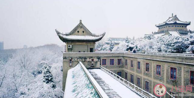 高考|高考后最想去念大学的城市 高考后最想去什么城市念大学