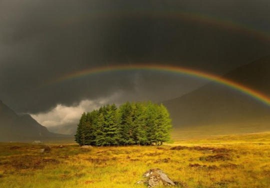 暴雨停了雨过天晴的朋友圈感受说说 终于不下雨晴天的朋友圈感言句子