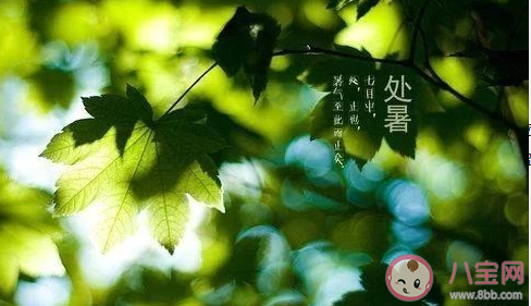 处暑节气|处暑节气代表着什么含义什么讲究 处暑节气有什么寓意