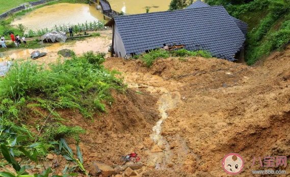 2020年为什么雨水这么多 雨季洪涝灾害怎么保护好自己